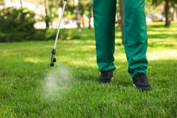 Best Pest Removal Services  in Quantico Base, VA