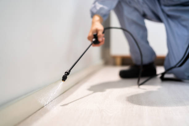 Best Pest Control Near Me in Quantico Base, VA