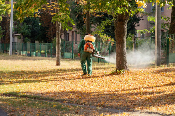 Best Best Pest Control Near Me  in Quantico Base, VA