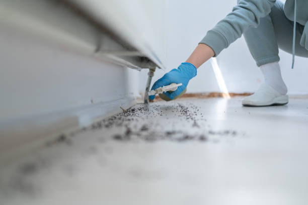 Professional Pest Control in Quantico Base, VA